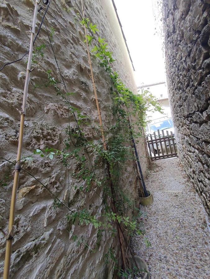Il Fait Bon Vivre Classe 3 Etoiles Montcuq Ngoại thất bức ảnh